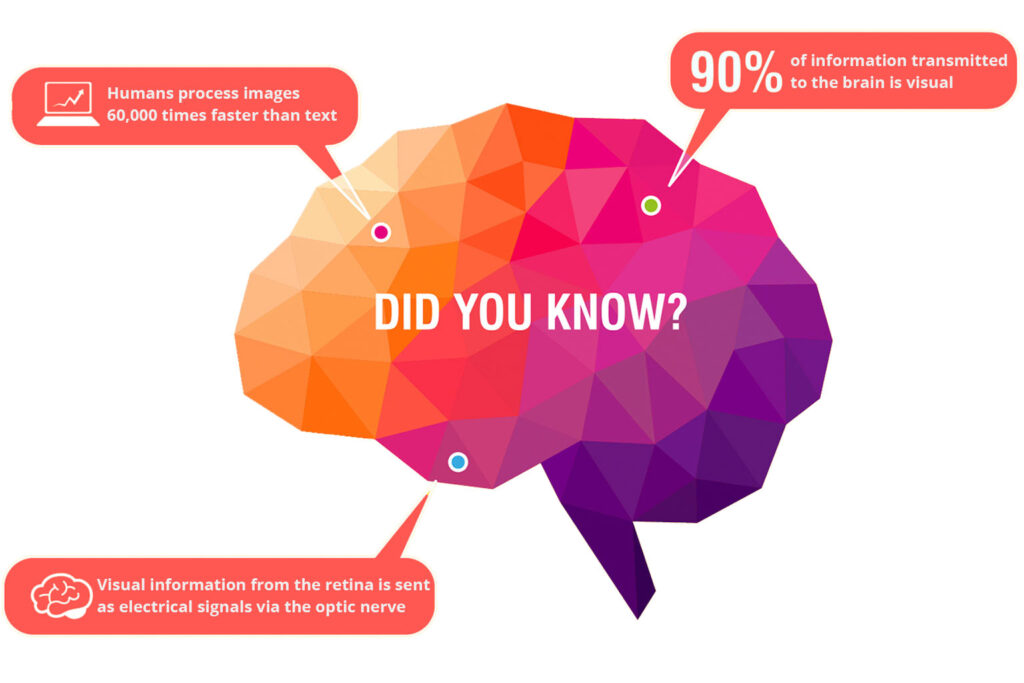 infographic on infographics